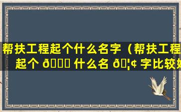 帮扶工程起个什么名字（帮扶工程起个 🍀 什么名 🦢 字比较好）